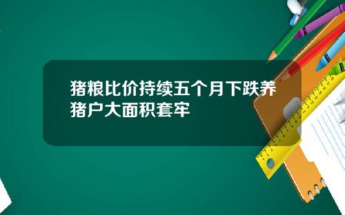 猪粮比价持续五个月下跌养猪户大面积套牢