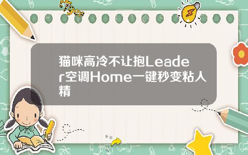猫咪高冷不让抱Leader空调Home一键秒变粘人精
