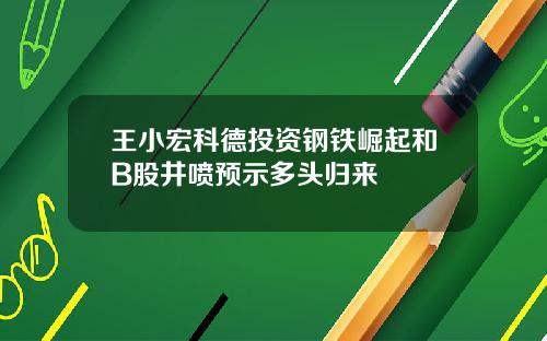 王小宏科德投资钢铁崛起和B股井喷预示多头归来