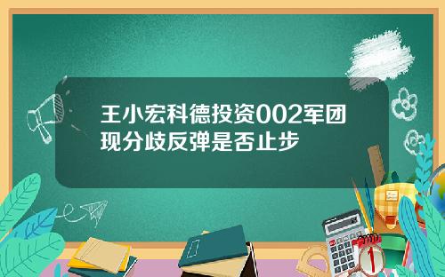 王小宏科德投资002军团现分歧反弹是否止步