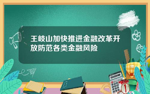 王岐山加快推进金融改革开放防范各类金融风险