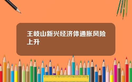 王岐山新兴经济体通胀风险上升