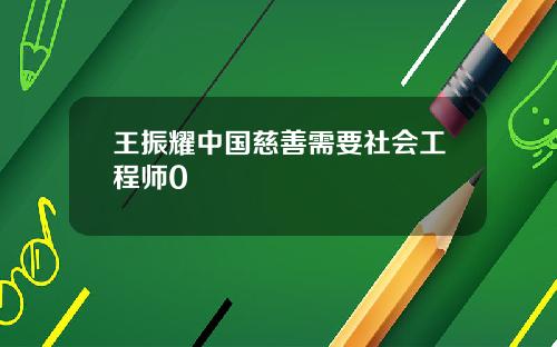 王振耀中国慈善需要社会工程师0