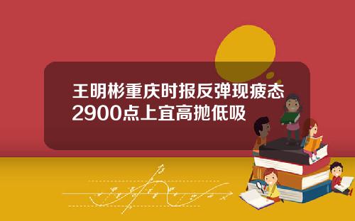 王明彬重庆时报反弹现疲态2900点上宜高抛低吸