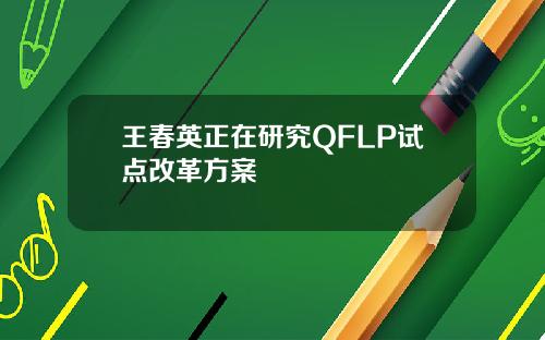 王春英正在研究QFLP试点改革方案