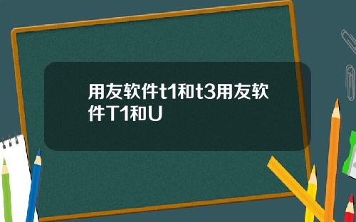 用友软件t1和t3用友软件T1和U
