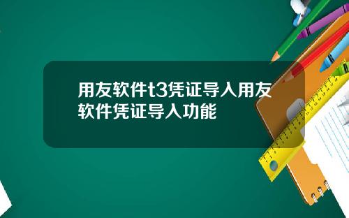 用友软件t3凭证导入用友软件凭证导入功能