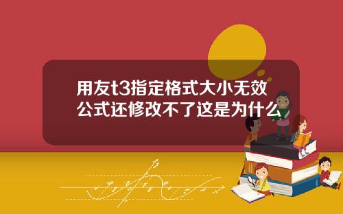 用友t3指定格式大小无效公式还修改不了这是为什么