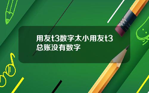 用友t3数字太小用友t3总账没有数字