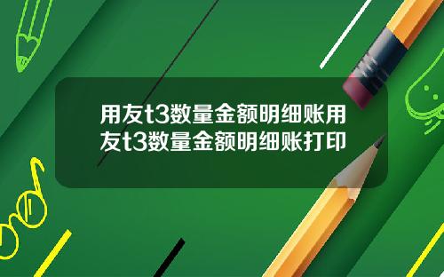 用友t3数量金额明细账用友t3数量金额明细账打印