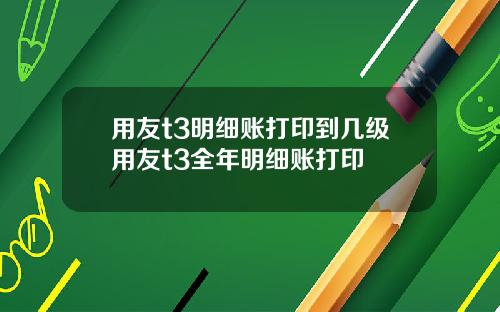 用友t3明细账打印到几级用友t3全年明细账打印