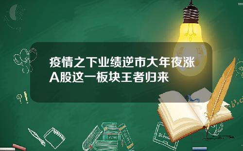 疫情之下业绩逆市大年夜涨A股这一板块王者归来