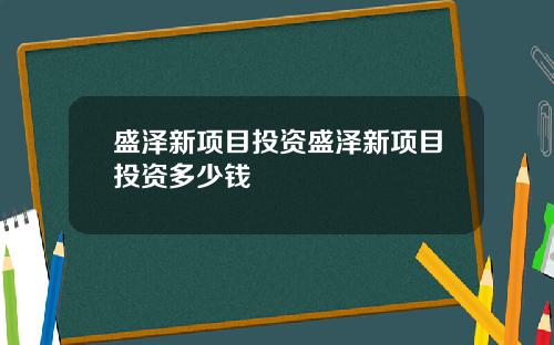盛泽新项目投资盛泽新项目投资多少钱