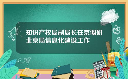 知识产权局副局长在京调研北京局信息化建设工作