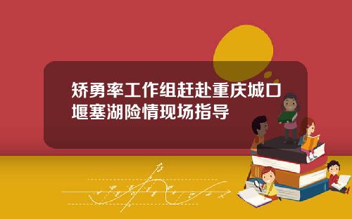 矫勇率工作组赶赴重庆城口堰塞湖险情现场指导