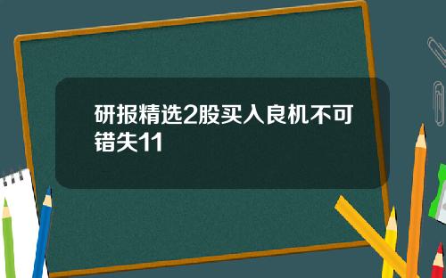 研报精选2股买入良机不可错失11