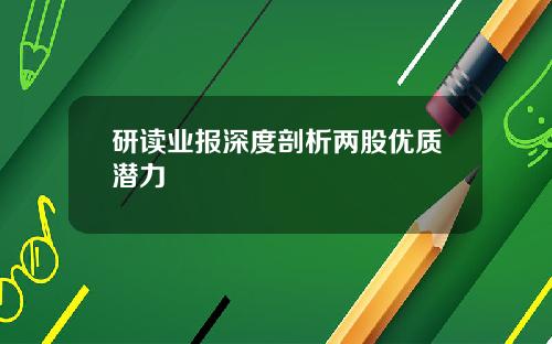 研读业报深度剖析两股优质潜力