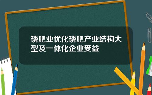 磷肥业优化磷肥产业结构大型及一体化企业受益