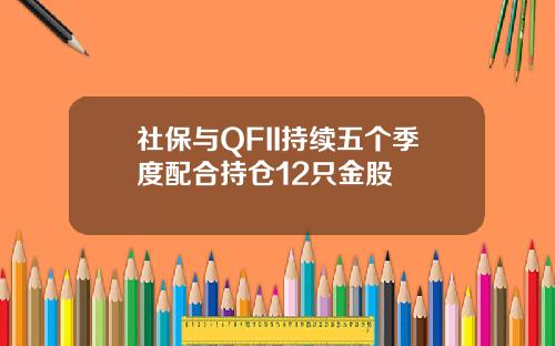 社保与QFII持续五个季度配合持仓12只金股