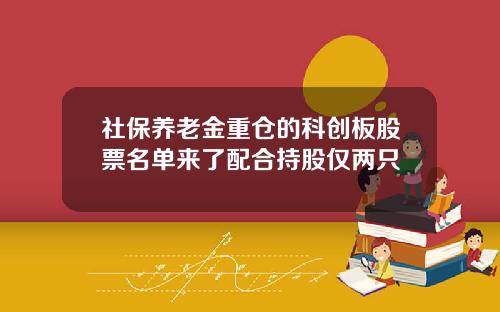 社保养老金重仓的科创板股票名单来了配合持股仅两只