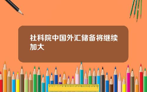 社科院中国外汇储备将继续加大