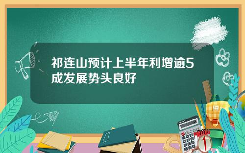 祁连山预计上半年利增逾5成发展势头良好