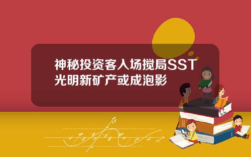 神秘投资客入场搅局SST光明新矿产或成泡影