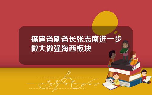 福建省副省长张志南进一步做大做强海西板块