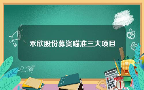 禾欣股份募资瞄准三大项目