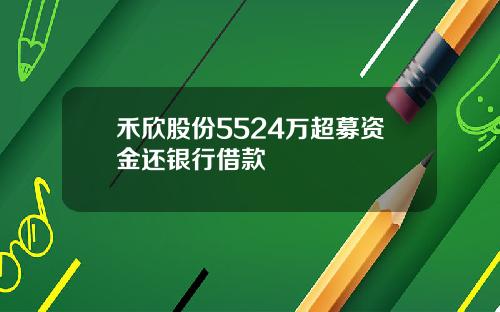 禾欣股份5524万超募资金还银行借款