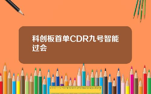 科创板首单CDR九号智能过会