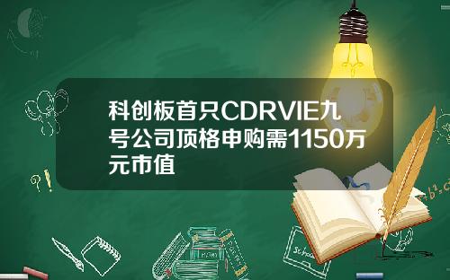 科创板首只CDRVIE九号公司顶格申购需1150万元市值