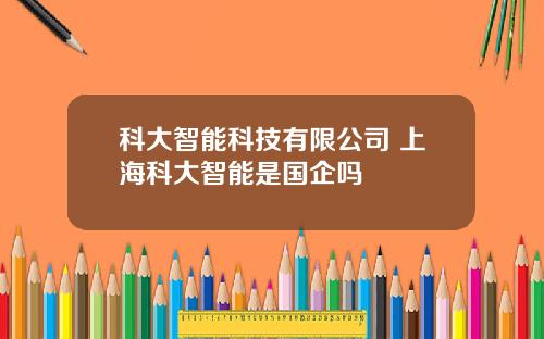 科大智能科技有限公司 上海科大智能是国企吗