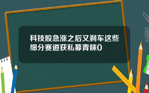 科技股急涨之后又刹车这些细分赛道获私募青睐0