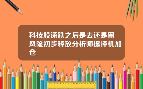 科技股深跌之后是去还是留风险初步释放分析师提择机加仓