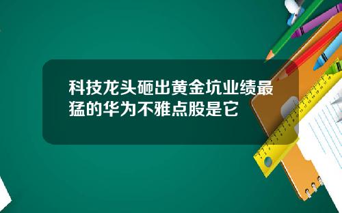 科技龙头砸出黄金坑业绩最猛的华为不雅点股是它