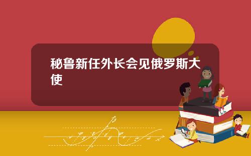 秘鲁新任外长会见俄罗斯大使