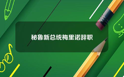 秘鲁新总统梅里诺辞职