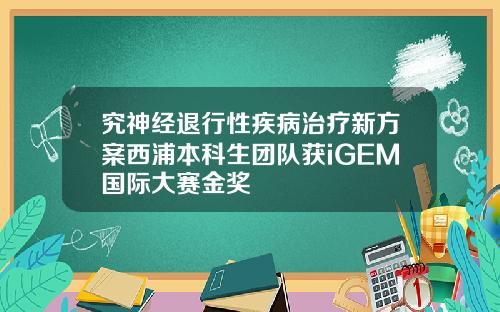 究神经退行性疾病治疗新方案西浦本科生团队获iGEM国际大赛金奖
