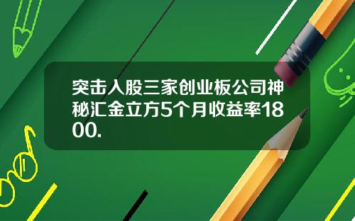 突击入股三家创业板公司神秘汇金立方5个月收益率1800.