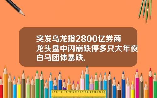突发乌龙指2800亿券商龙头盘中闪崩跌停多只大年夜白马团体暴跌.