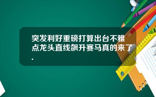 突发利好重磅打算出台不雅点龙头直线飙升赛马真的来了.