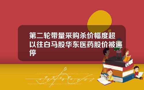 第二轮带量采购杀价幅度超以往白马股华东医药股价被逼停