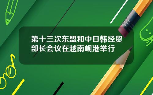 第十三次东盟和中日韩经贸部长会议在越南岘港举行