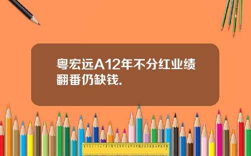 粤宏远A12年不分红业绩翻番仍缺钱.