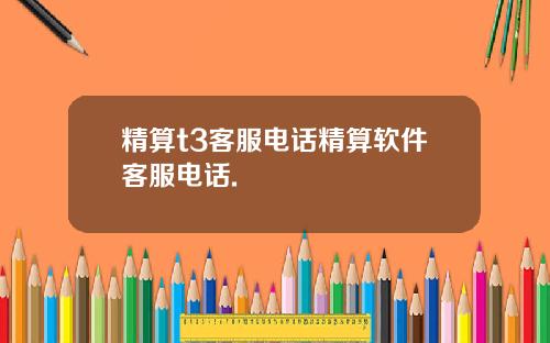 精算t3客服电话精算软件客服电话.