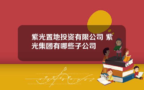 紫光置地投资有限公司 紫光集团有哪些子公司