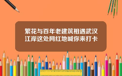 繁花与百年老建筑相遇武汉江岸这处网红地喊你来打卡