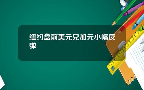 纽约盘前美元兑加元小幅反弹