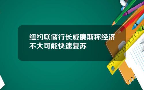 纽约联储行长威廉斯称经济不大可能快速复苏